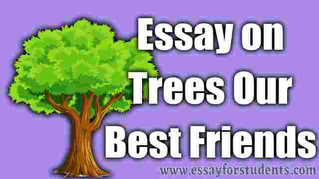 trees our best friend essay std 11